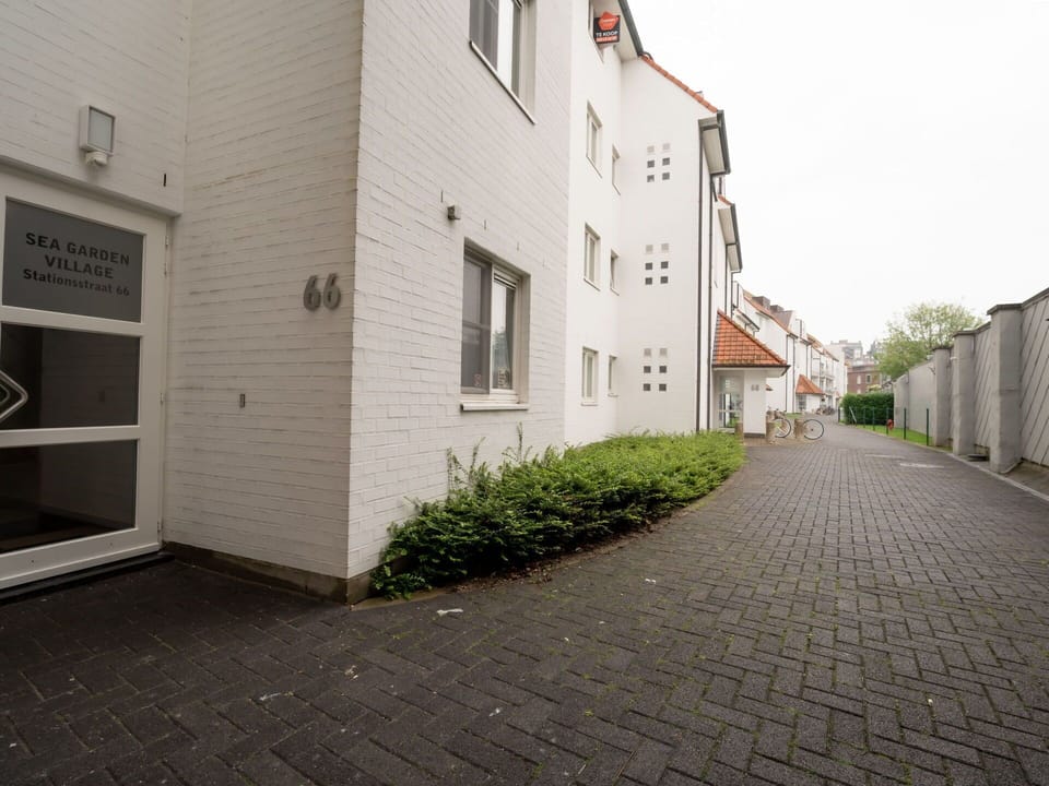 Building, Plant, Window, Road Surface, Asphalt, Flooring, House, Neighbourhood, Wood, Residential Area