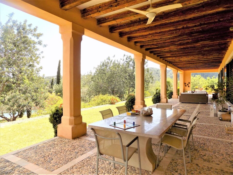 Plant, Property, Furniture, Table, Shade, Chair, Lighting, Wood, Architecture, Interior Design