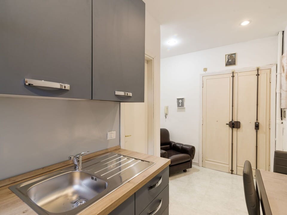 Kitchen Sink, Cabinetry, Sink, Property, Countertop, Furniture, Tap, Building, Plumbing Fixture, Kitchen Stove