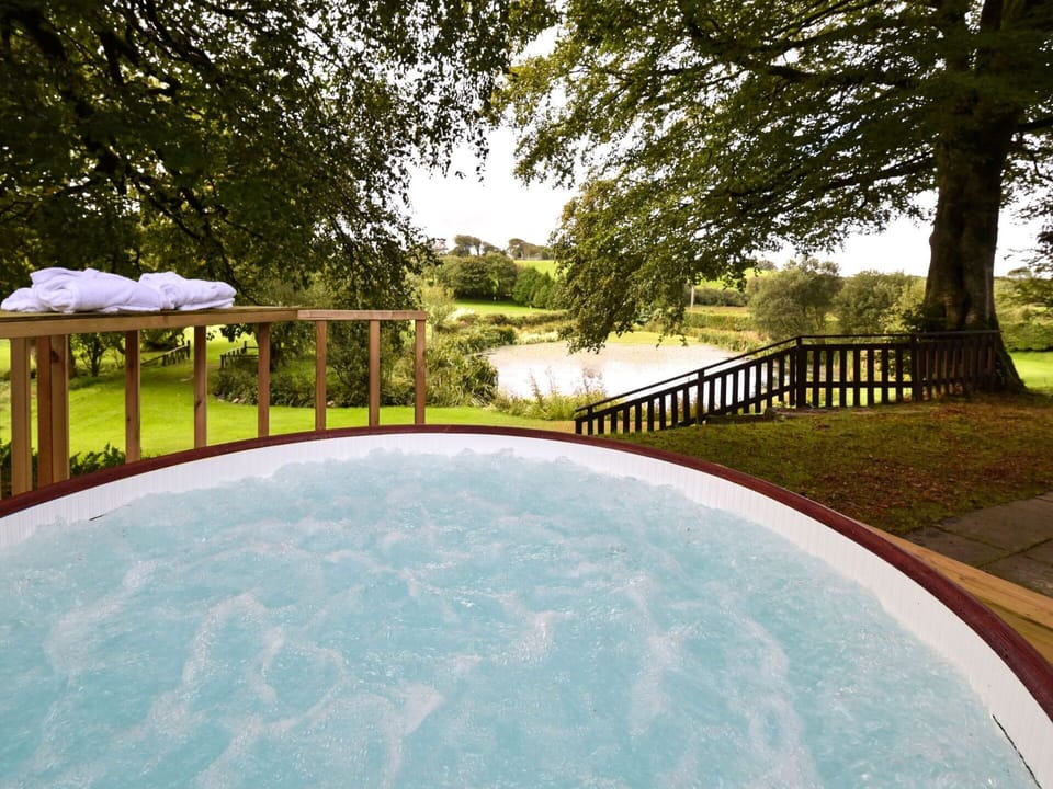 Water, Plant, Property, Swimming Pool, Tree, Shade, Sky, Grass, Sunlight, Fence