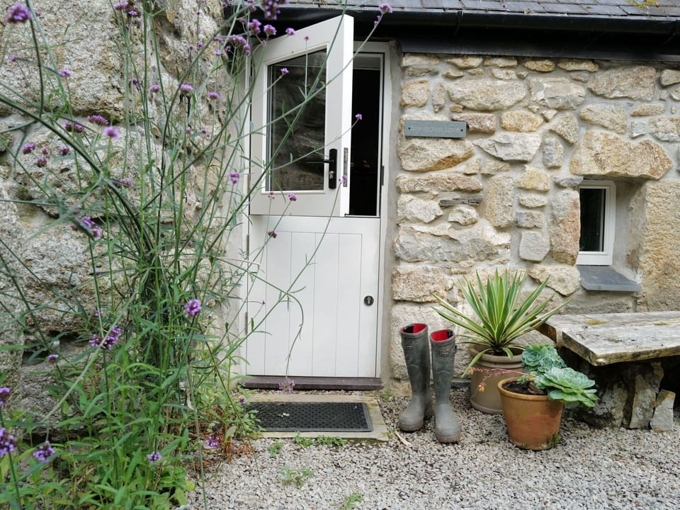 Plant, Flower, Building, Window, Flowerpot, Houseplant, Botany, Vegetation, House