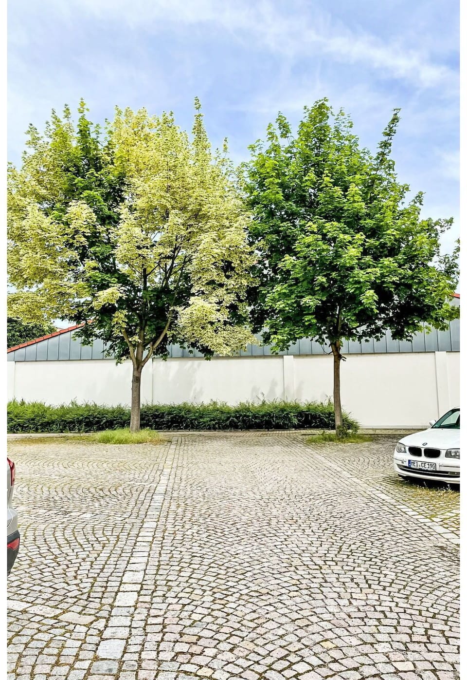 Plant, Sky, Cloud, Car, Vehicle, Road Surface, Asphalt, Tree, Grass
