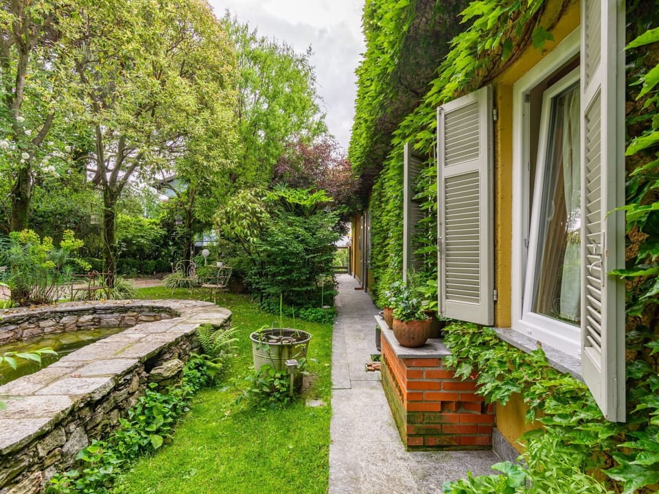 Plant, Window, Green, Building, Road Surface, Natural Landscape, Grass, Tree, Groundcover, House