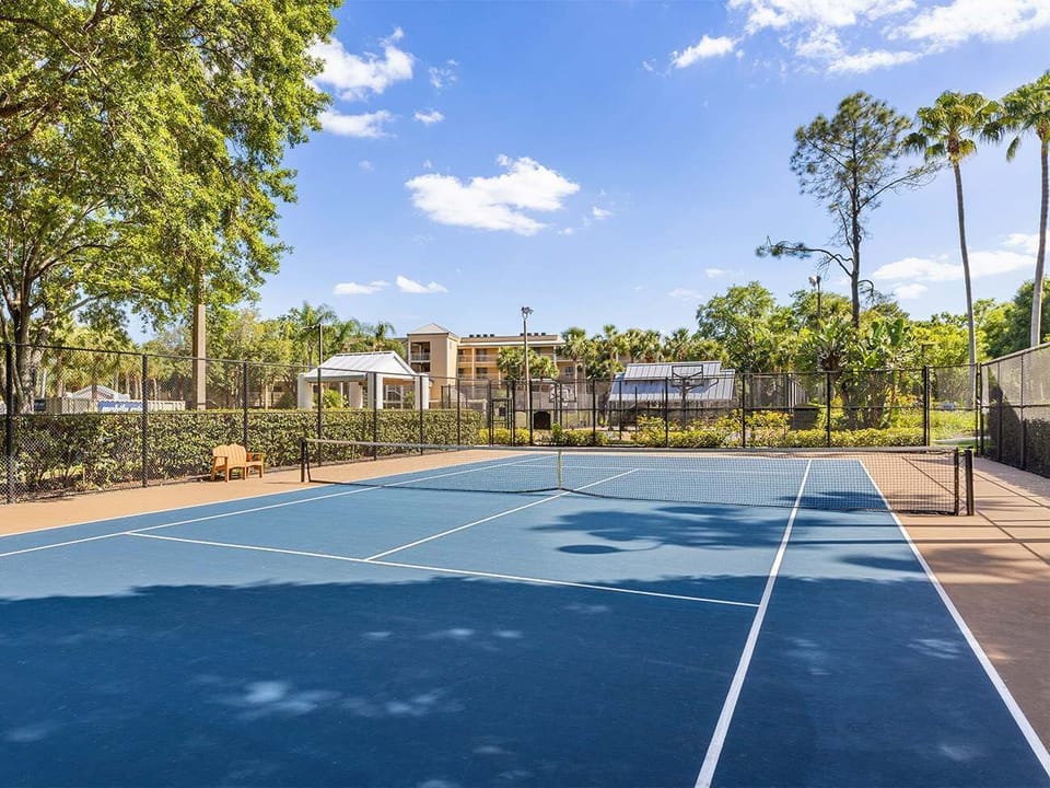 Sport court