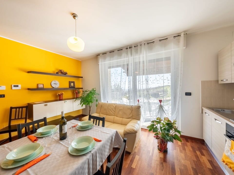 Plant, Flower, Property, Table, Building, Furniture, Window, Flowerpot, Shade, Houseplant