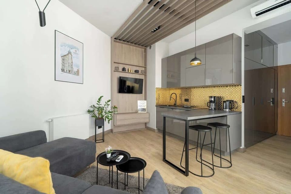 Living area with modern kitchenette and sofa.