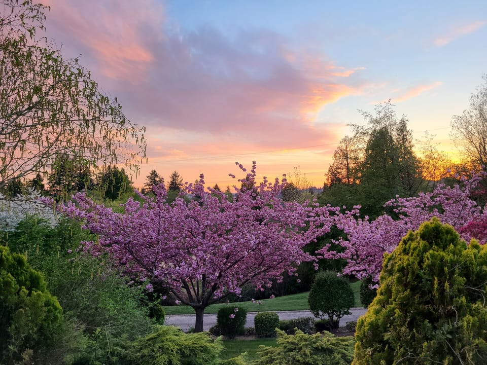 Sunset6