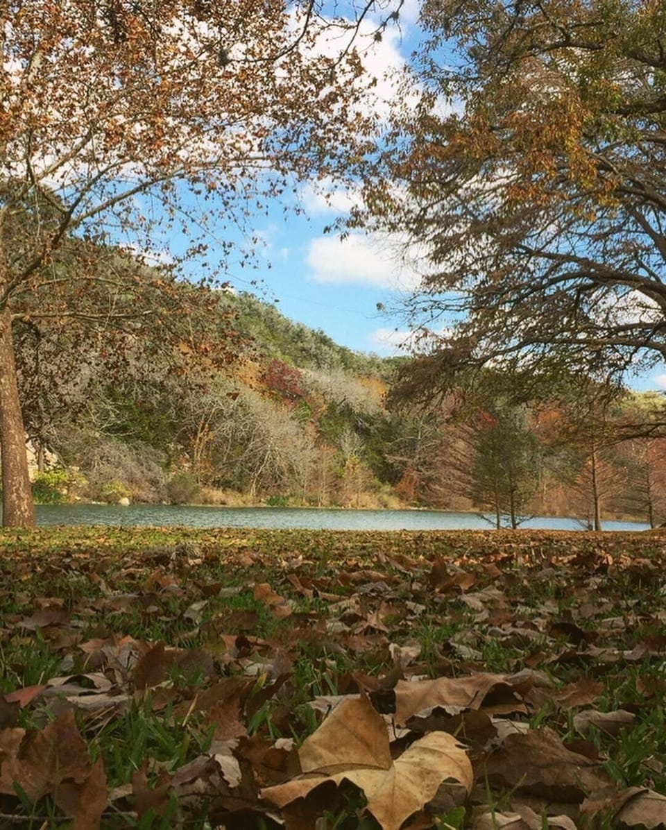 Fall beauty