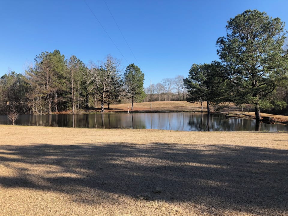Crisp winter morning overlooking the relaxing pond.