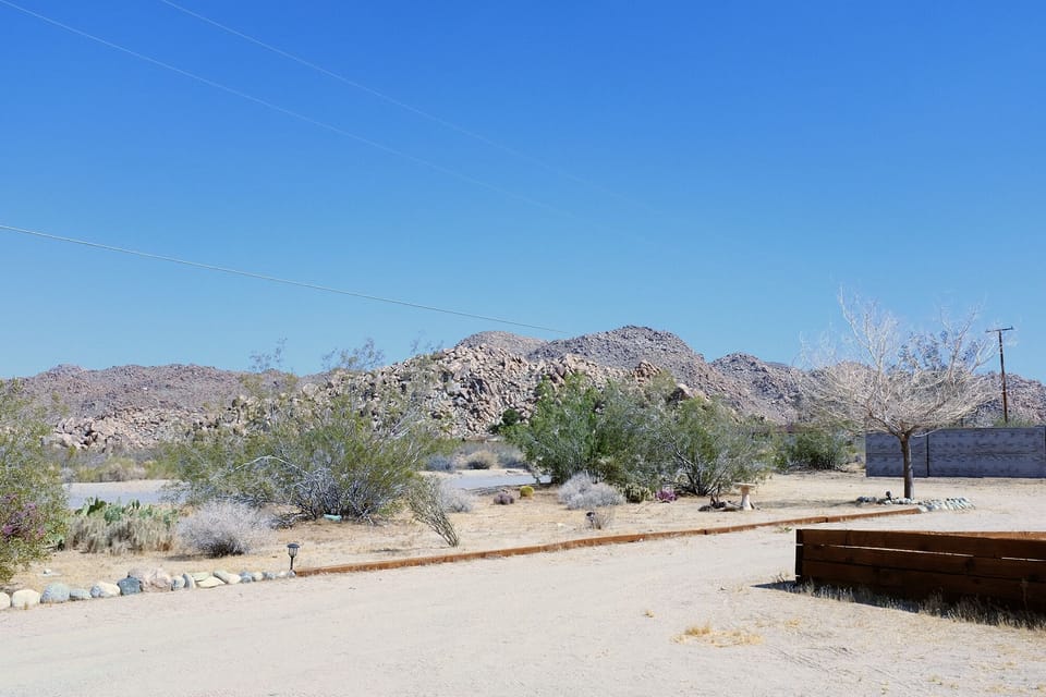 View from the front yard