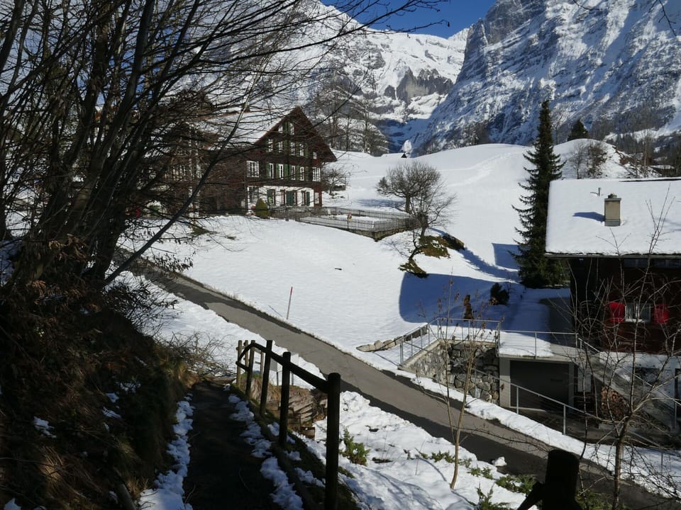 Snow, Sky, Building, Mountain, Plant, Slope, Tree, Natural Landscape, Landscape, House