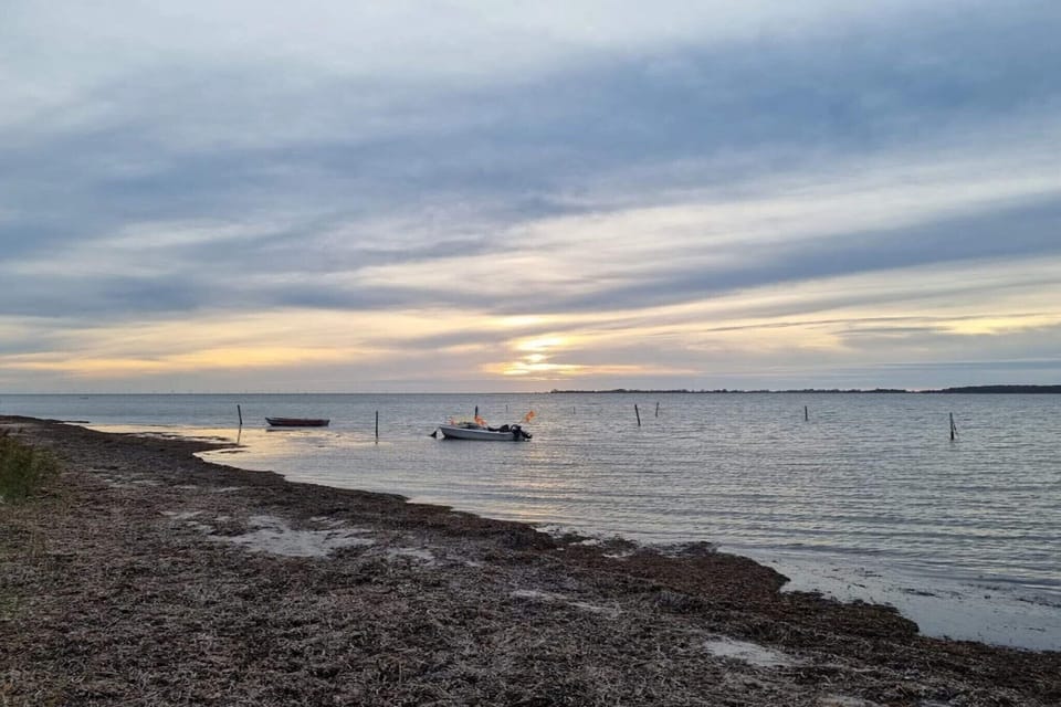 Water view