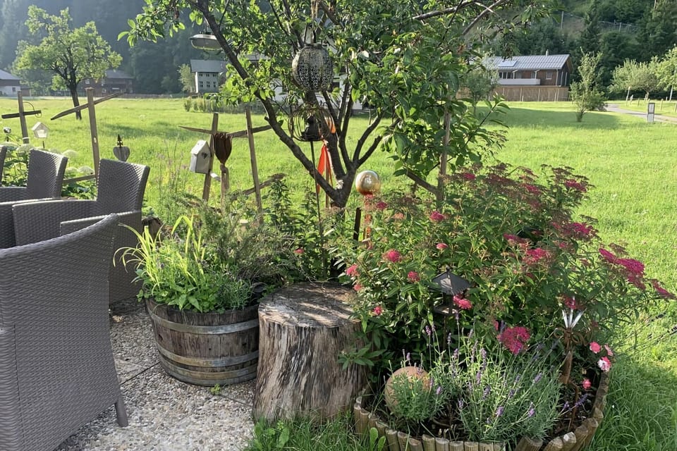 Garden [summer]