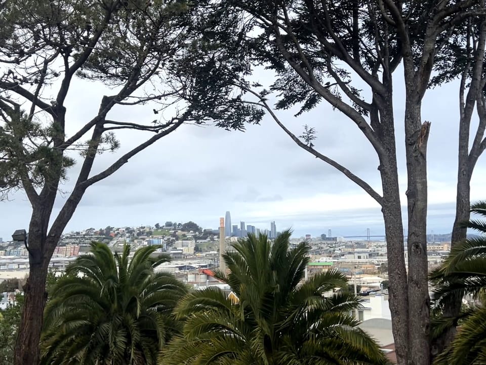 Beautiful views of downtown San Francisco from this bedroom