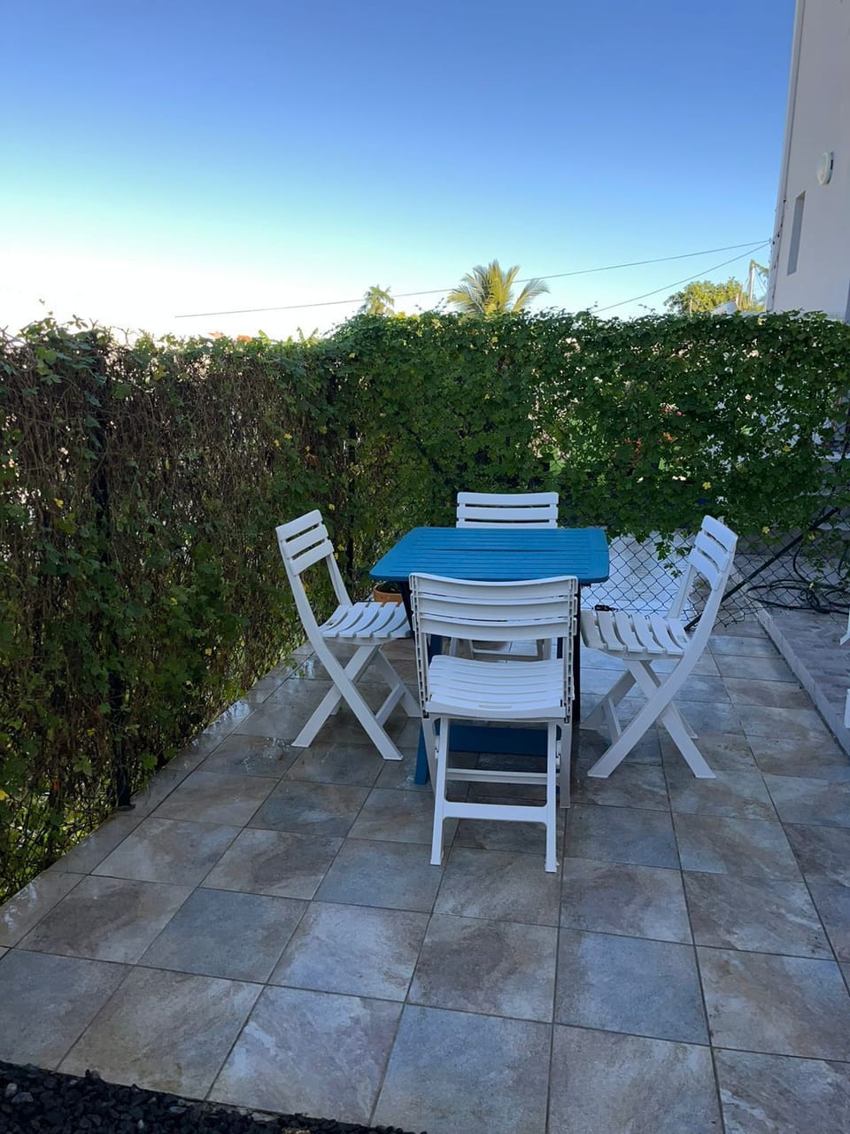 LG Backyard