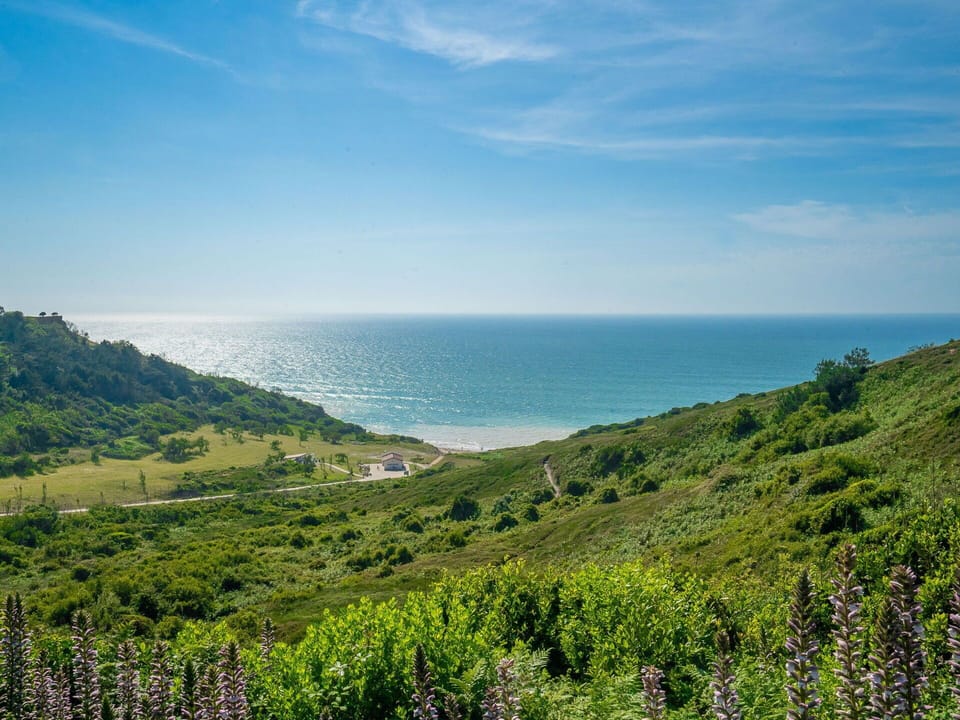 Blue, Green, Vegetation, Horizon, Natural Landscape, Coast, Sea, Ecoregion, Summer, Coastal And Oceanic Landforms