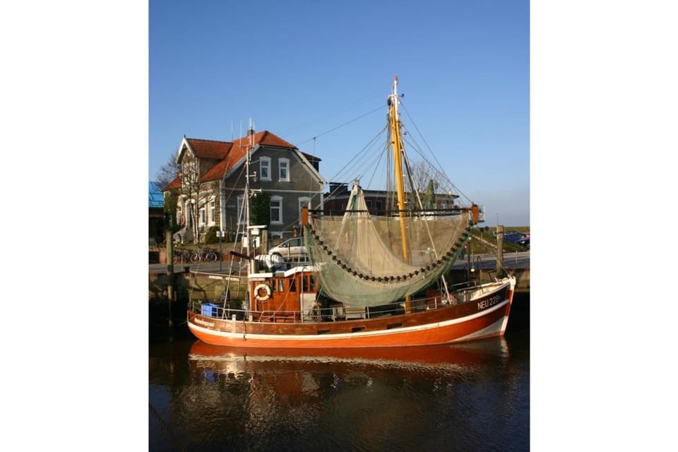 Surroundings [summer] (1-5 km)