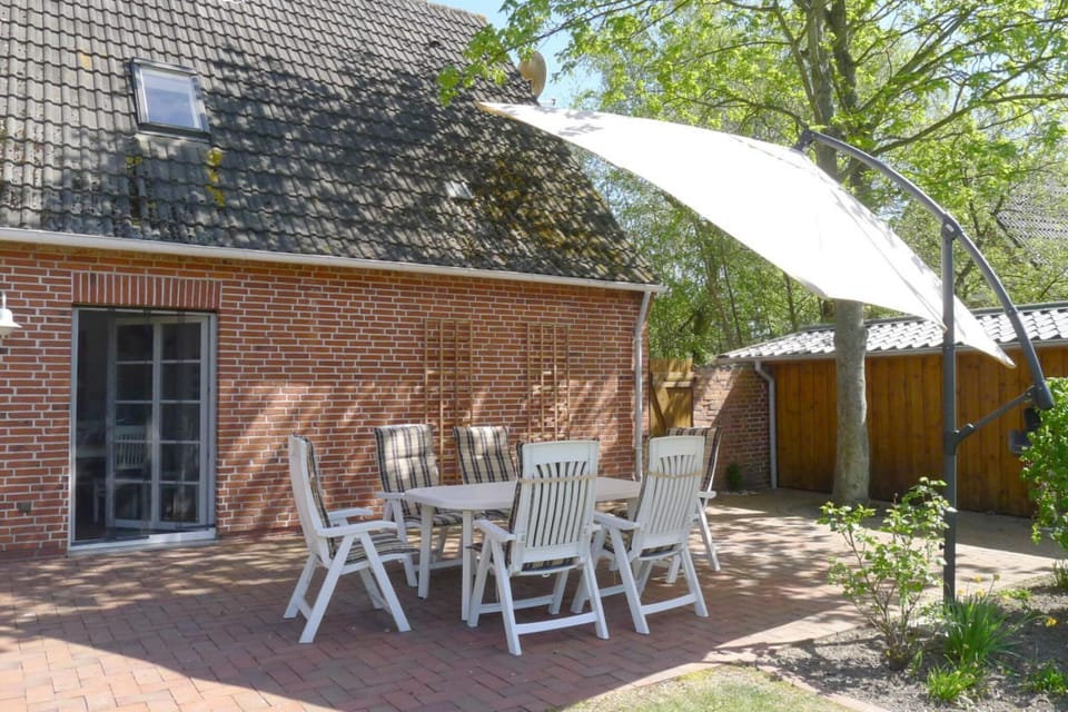 Garden [summer]