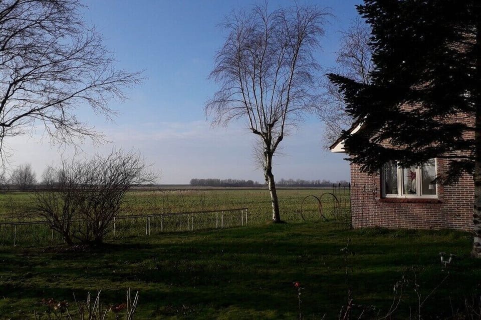 Immediate Surroundings [summer] (<1 km)