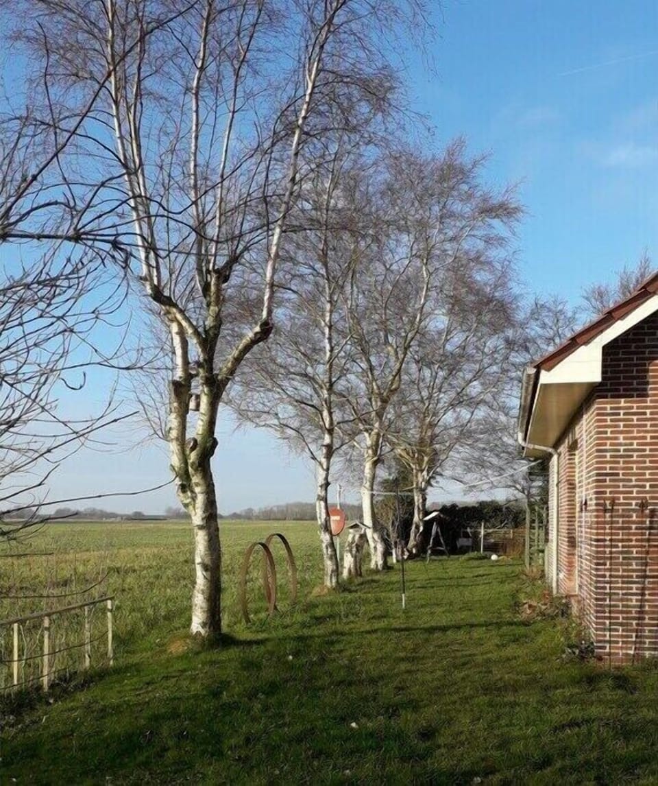 Immediate Surroundings [summer] (<1 km)
