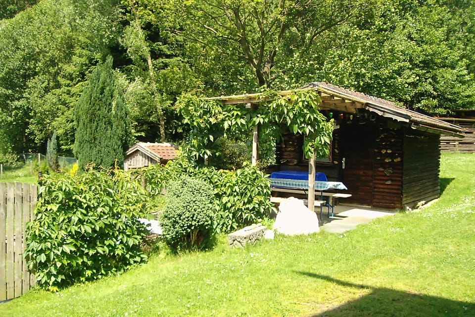 Garden [summer]