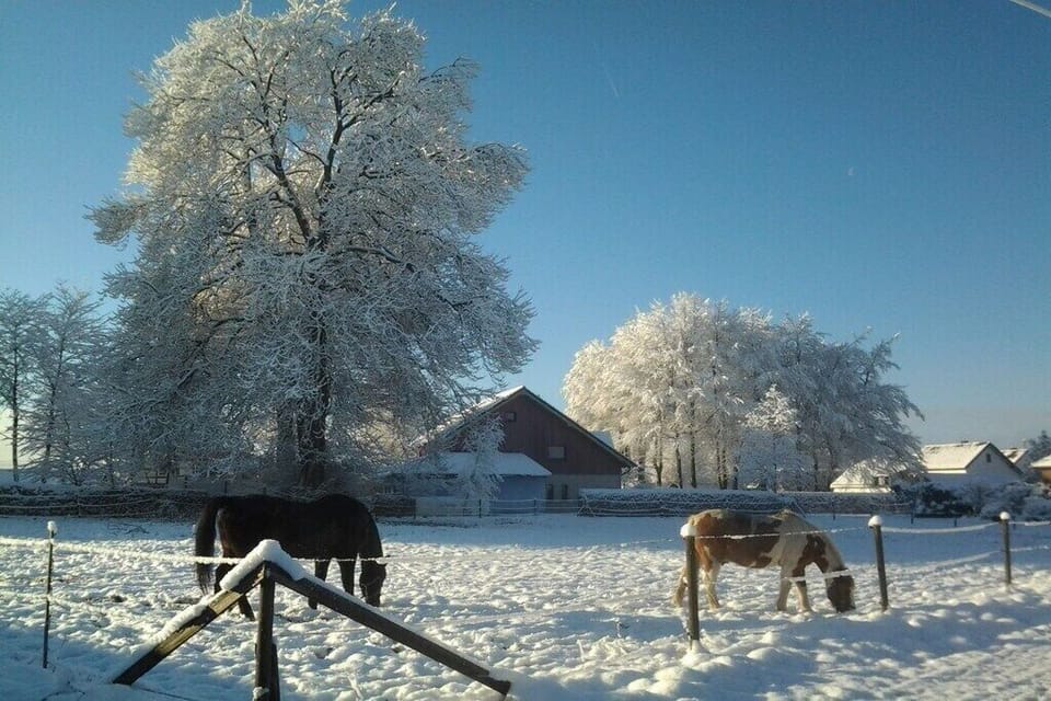 Surroundings [winter] (1-5 km)