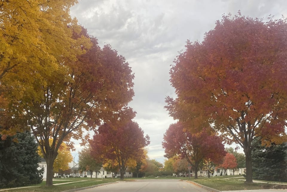 Neighborhood in the fall.
