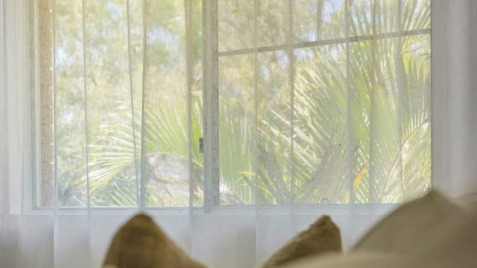 Window that allows natural light