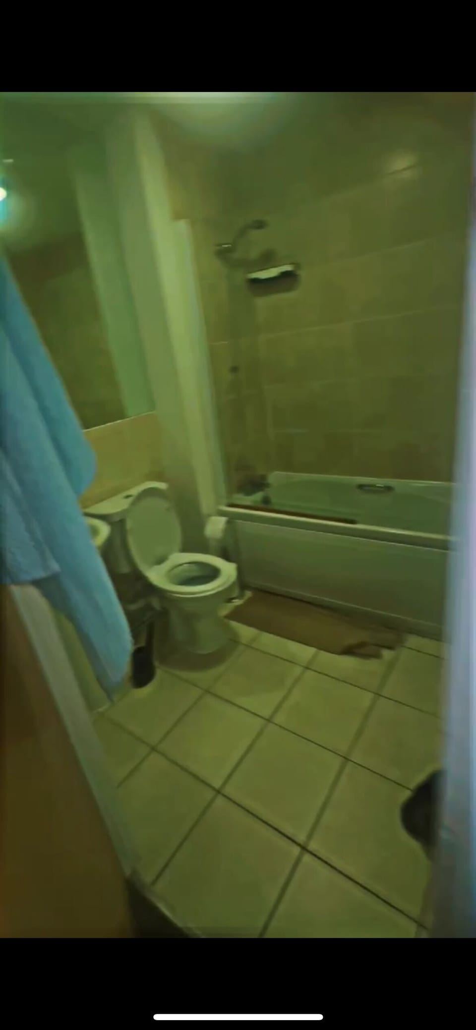 Towels, toilet paper
