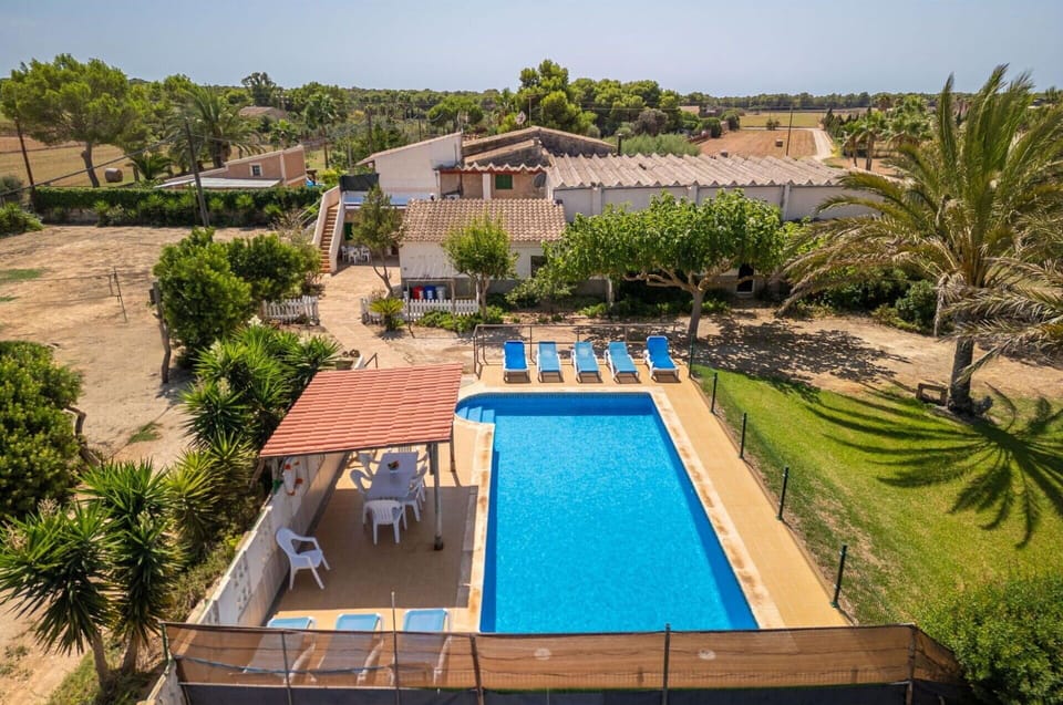 Water, Property, Plant, Building, Tree, Swimming Pool, Sky, Outdoor Furniture, Chair, Rectangle