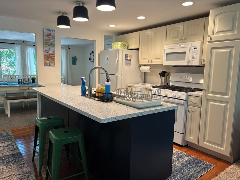 Kitchen remodeled in 2025- dishwasher, island seating