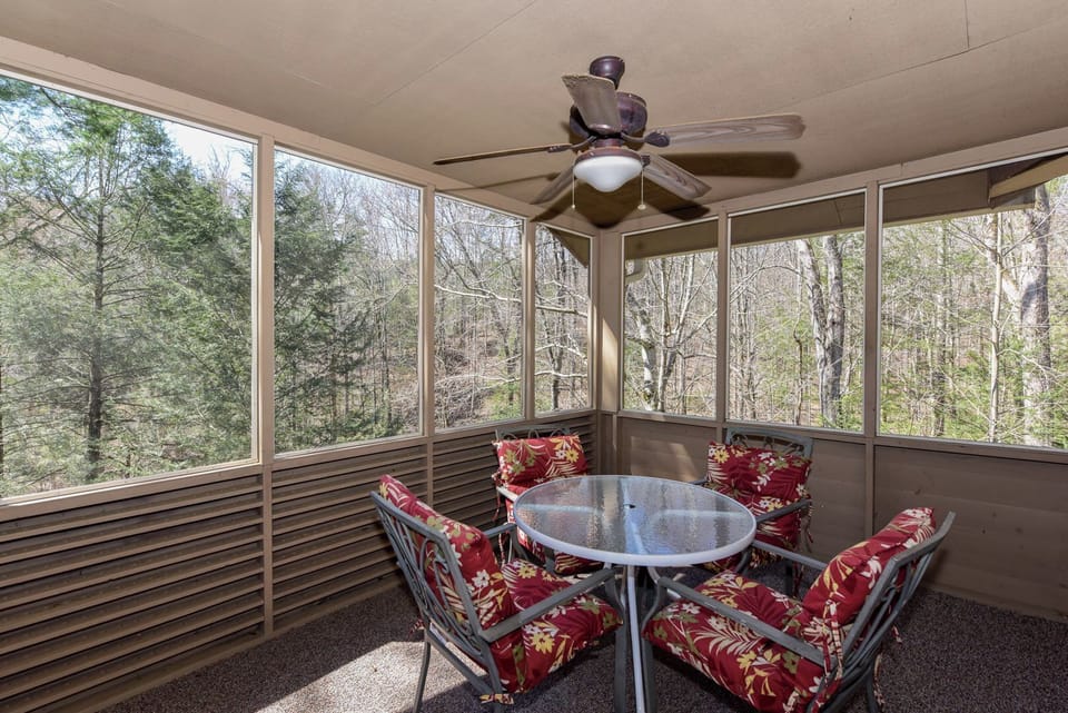 Tree Frog Screened Porch