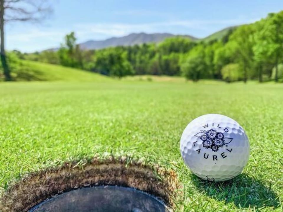 Wild Laurel 18 green pic.