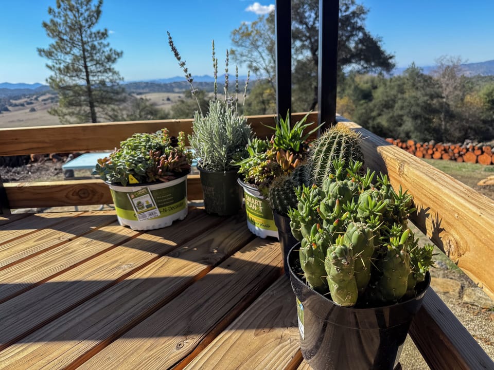 View from property