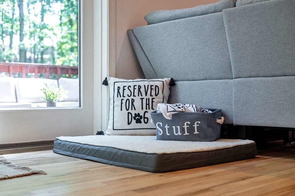 A comfy spot for your furry friend, complete with a dedicated dog bed and a stylish storage basket. Perfect for a relaxing stay. 🐶 #petfriendly
