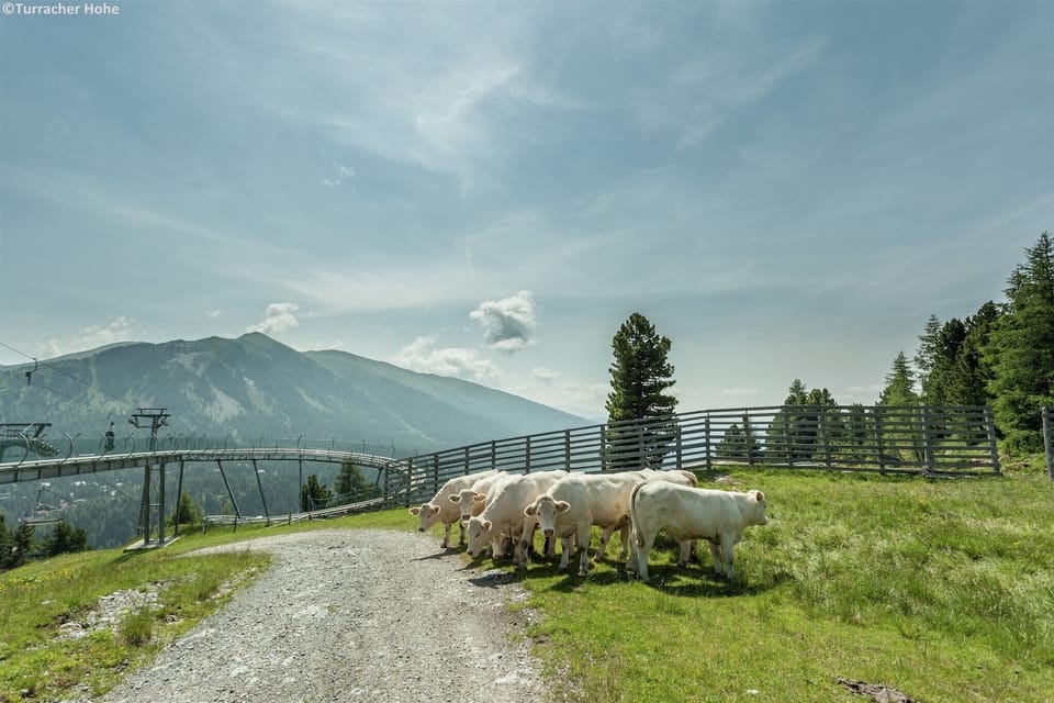 Surroundings [summer] (1-5 km)