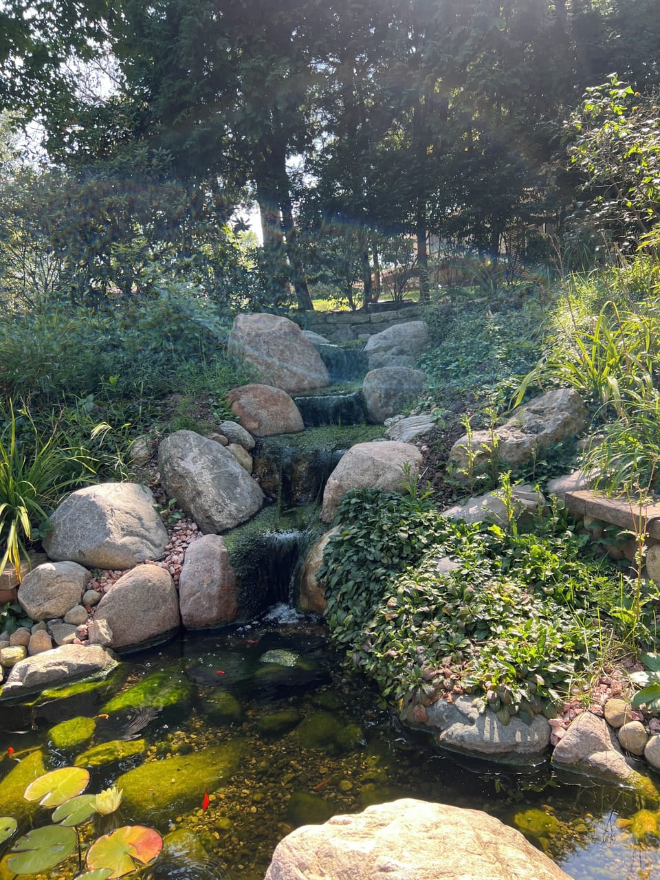 Outside Area View 2
