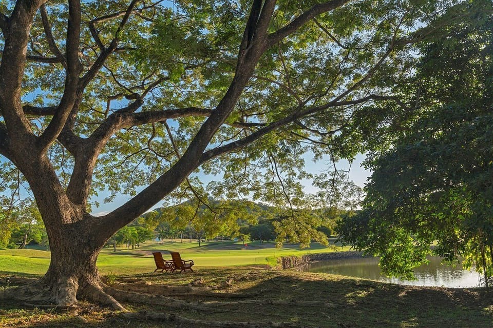 Golf course
