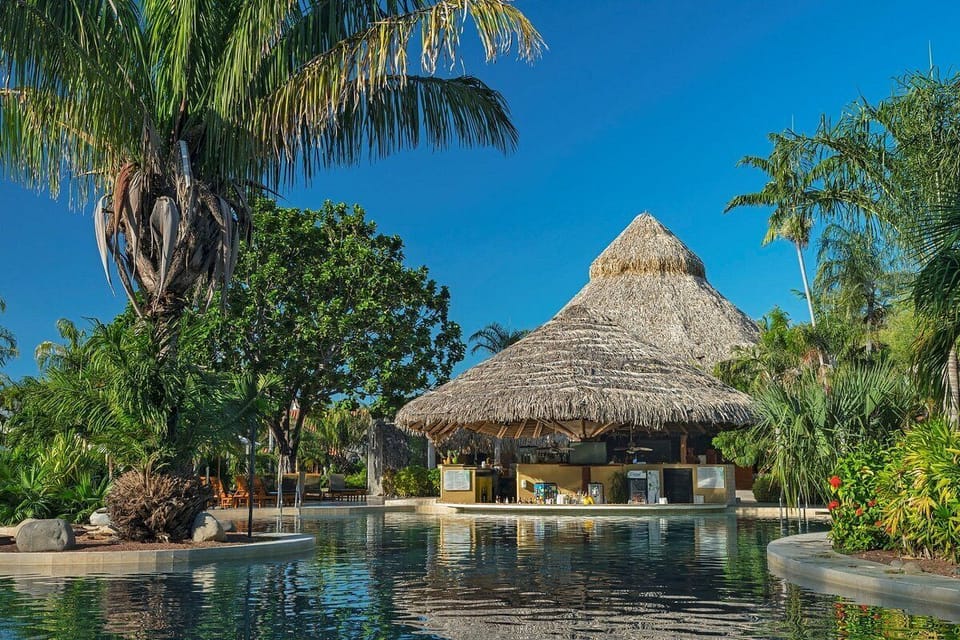 Swim up bar