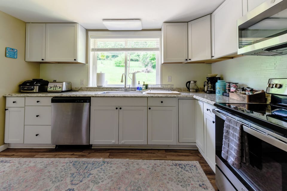 New appliances, cabinets and blinds in upper kitchen - view to back yard, birds