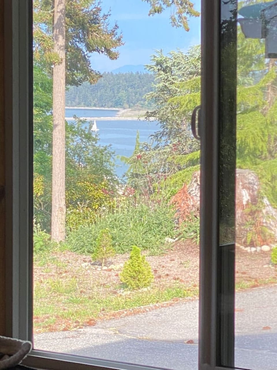 Yes, it's a pretty nice view with a sailboat coming into the harbor!