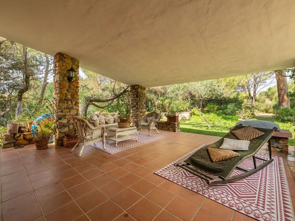 Plant, Furniture, Property, Chair, Shade, Outdoor Furniture, Interior Design, Tree, Wood, Floor