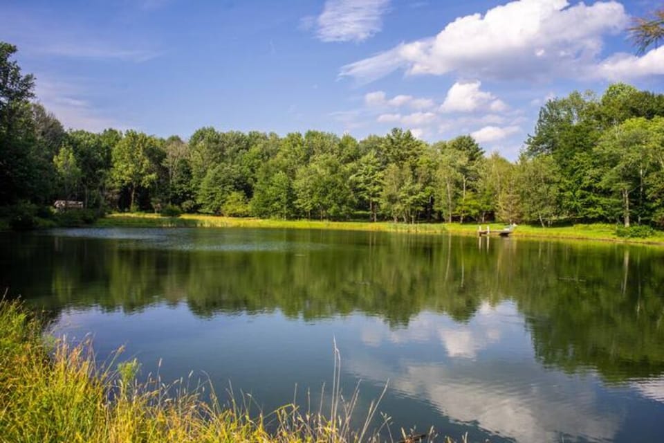 The pond