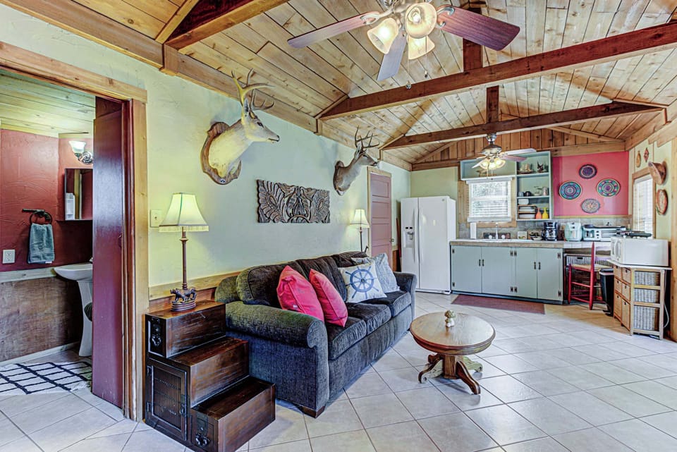 Curl up in the living room & stream all your favorite entertainment