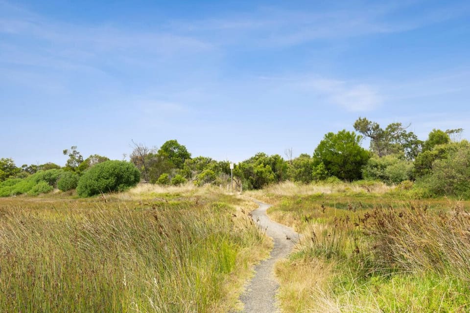 🚶 Short walk to Lower Bluff Beach via scenic path