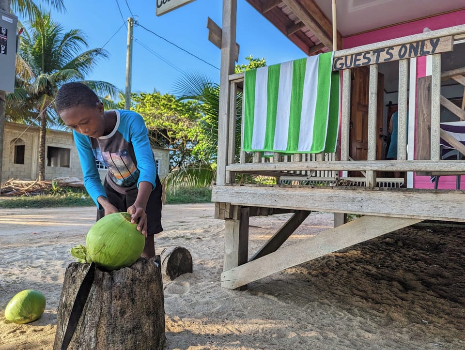 Ask a local boy to teach you how to open up a coconut.  machete included on site