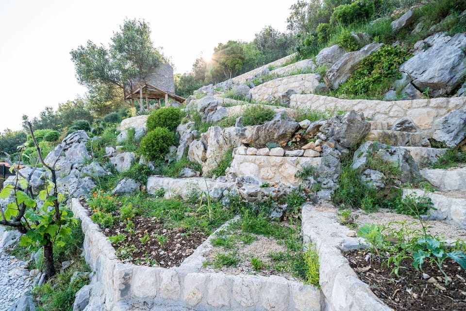 Garden [summer]