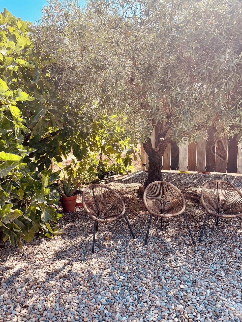 Terrace/patio