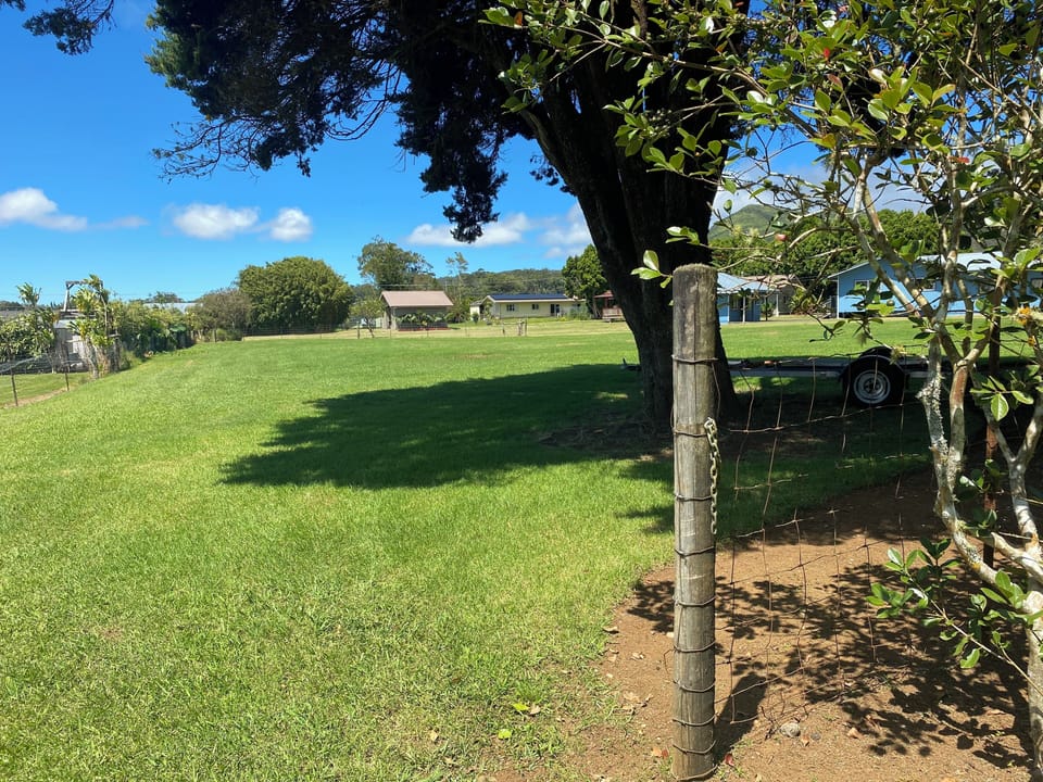 Yard