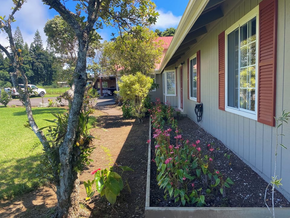 Front of house Flower Bed